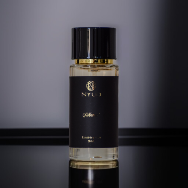 Nyud SilknOud Perfume For Women & Men